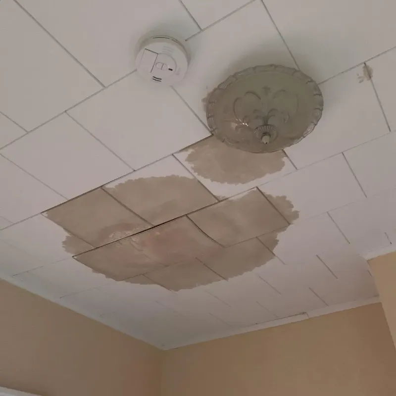 Ceiling Water Damage Repair in Pennsboro, WV