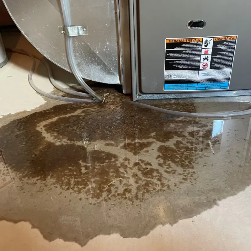 Pipe Burst and Leak Restoration in Pennsboro, WV