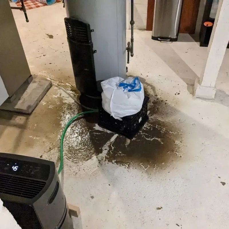 Sewage Backup Cleanup Service in Pennsboro, WV